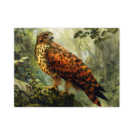 Matte Poster: Leopard/Hawk Hybrid